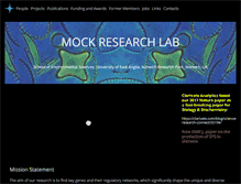 Tablet Screenshot of mocklab.com